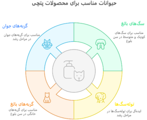 حیوانات مناسب برای برند پتچی