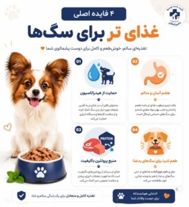 بهترین غذای مرطوب سگ