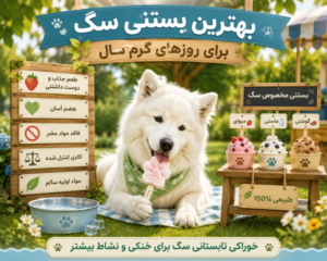 ویژگی های بستنی سگ