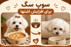 خرید سوپ سگ