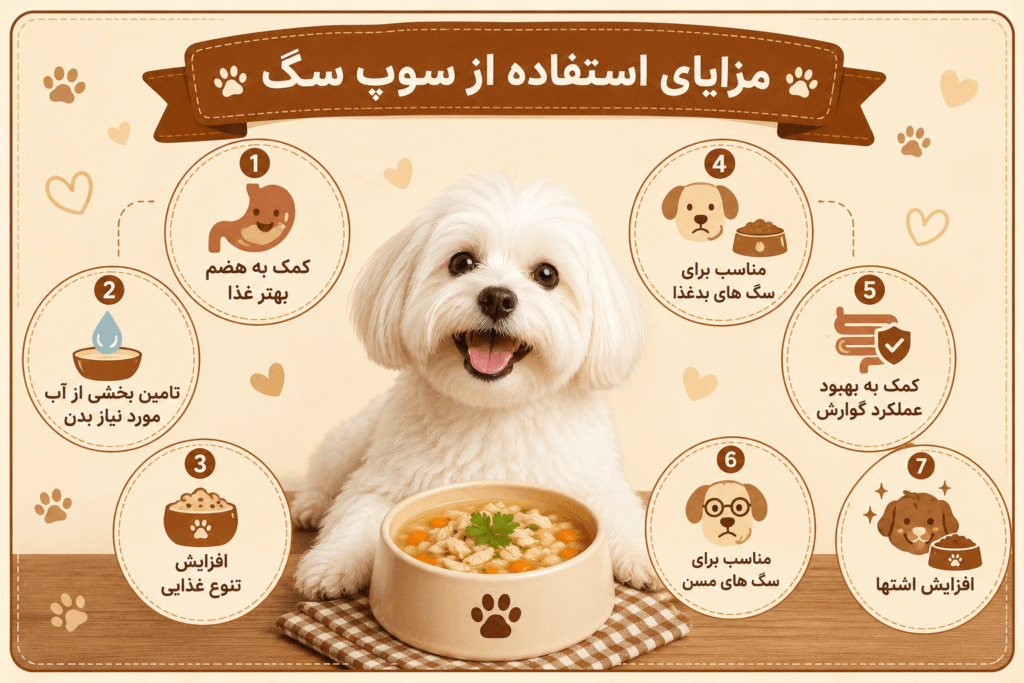 سوپ سگ برای افزایش اشتها و آبرسانی بدنh3 برخی سگ ها به دلایل مختلف دچار بی اشتهایی می شوند. در چنین شرایطی استفاده از سوپ سگ برای افزایش اشتها می تواند بسیار موثر باشد. مزایای این محصولات عبارتند از: • عطر و طعم جذاب • افزایش میل به غذا خوردن • تامین آب بدن • کمک به عملکرد بهتر دستگاه گوارش غذای مایع سگ به ویژه در فصل های گرم سال می تواند نقش مهمی در جلوگیری از کم آبی بدن حیوان داشته باشد. مزایای استفاده از سوپ سگ در رژیم غذاییh3 افزودن سوپ سگ سالم به برنامه غذایی حیوان مزایای متعددی دارد. مهم ترین مزایا: • کمک به هضم بهتر غذا • تامین بخشی از آب مورد نیاز بدن • افزایش تنوع غذایی • مناسب برای سگ های بدغذا • کمک به بهبود عملکرد گوارش • مناسب برای سگ های مسن • افزایش اشتها به همین دلیل بسیاری از صاحبان حیوانات خانگی در کنار غذای خشک از سوپ آماده سگ استفاده می کنند.