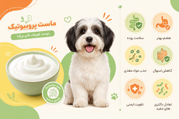 مزایای ماست پروبیوتیک برای سگ ها
