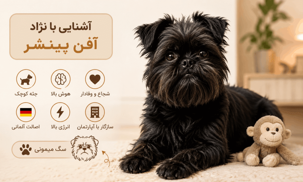 سگ آفن پینشر