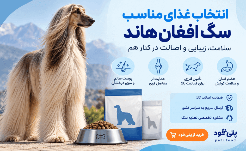 نژاد افغان هاند