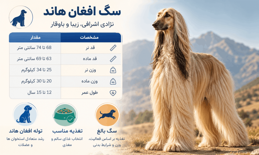 طول عمر افغان هاند