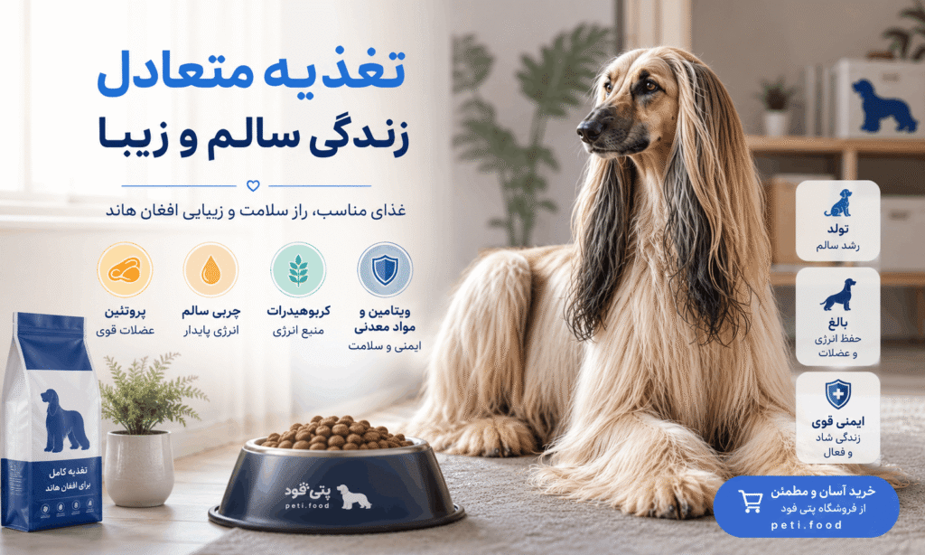 تغذیه سگ افغان هاند
