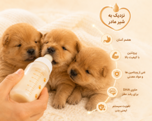 شیر خشک سگ برای توله های تازه متولد شده