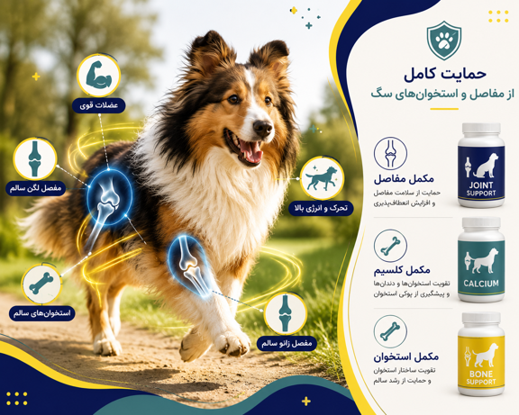 مزایای مکمل سگ