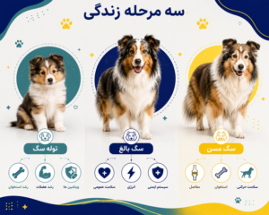 مکمل برای توله سگ