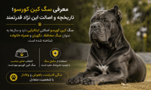 نژاد سگ کین کورسو (Cane Corso)