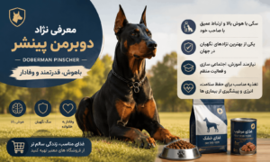 نژاد دوبرمن پینشر (Doberman Pinscher)