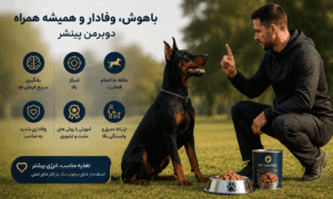 هوش و وفاداری دوبرمن