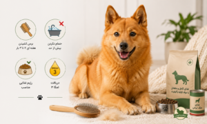 کنترل ریزش مو در فینیش اسپیتز 