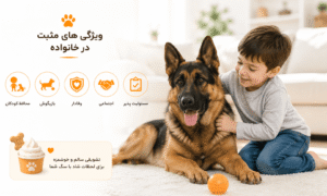 رفتار ژرمن شپرد با دیگران