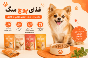غذای پوچ سگ