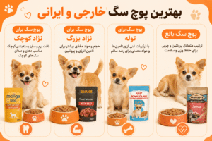 بهترین پوچ سگ خارجی و ایرانی 