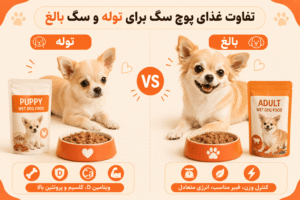 تفاوت غذای پوچ سگ برای توله و سگ بالغ 
