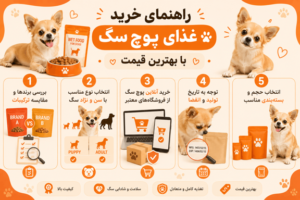 راهنمای خرید غذای پوچ سگ 
