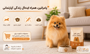 آیا پامرانین سگ مناسبی برای آپارتمان است؟