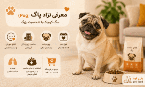 نژاد پاگ