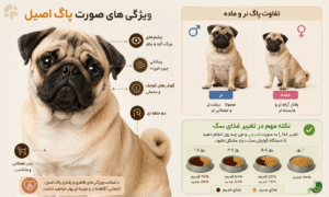 ویژگی های پاگ اصیل