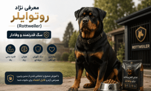 نژاد روتوایلر (Rottweiler)