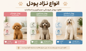 انواع نژاد پودل