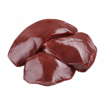 جگر - Liver